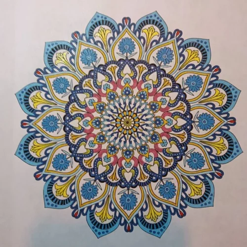 Student's Work